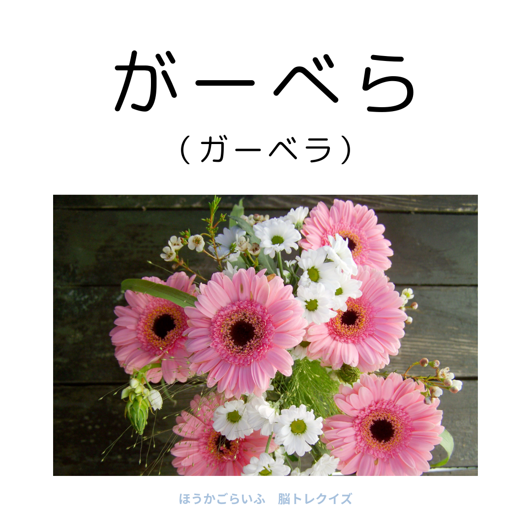 高齢者向け（無料）言葉の並び替えで脳トレしよう！文字（ひらがな）を並び替える簡単なゲーム【花の名前】健康寿命を延ばす鍵